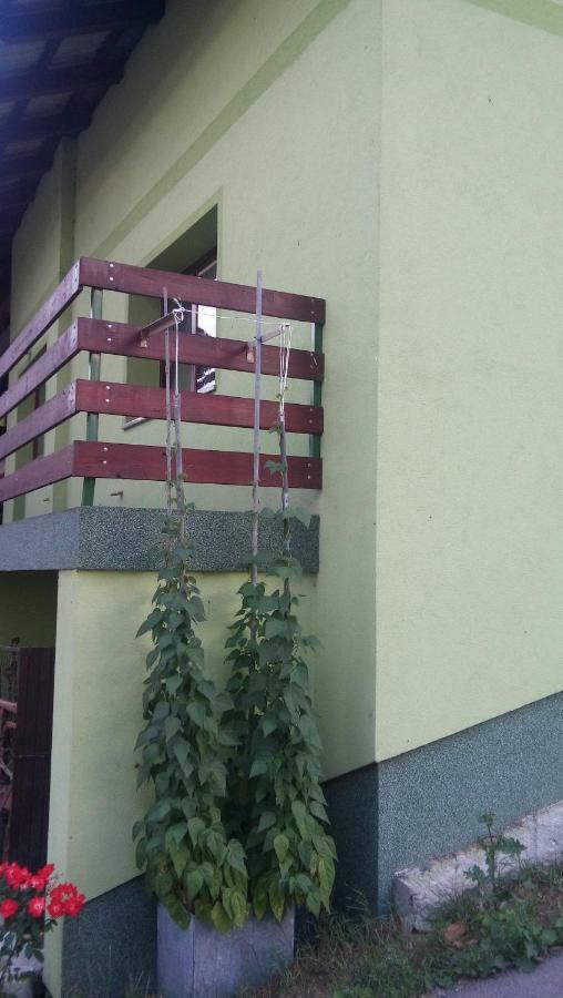 Apartma Juha - Breg pri Borovnici Exterior photo